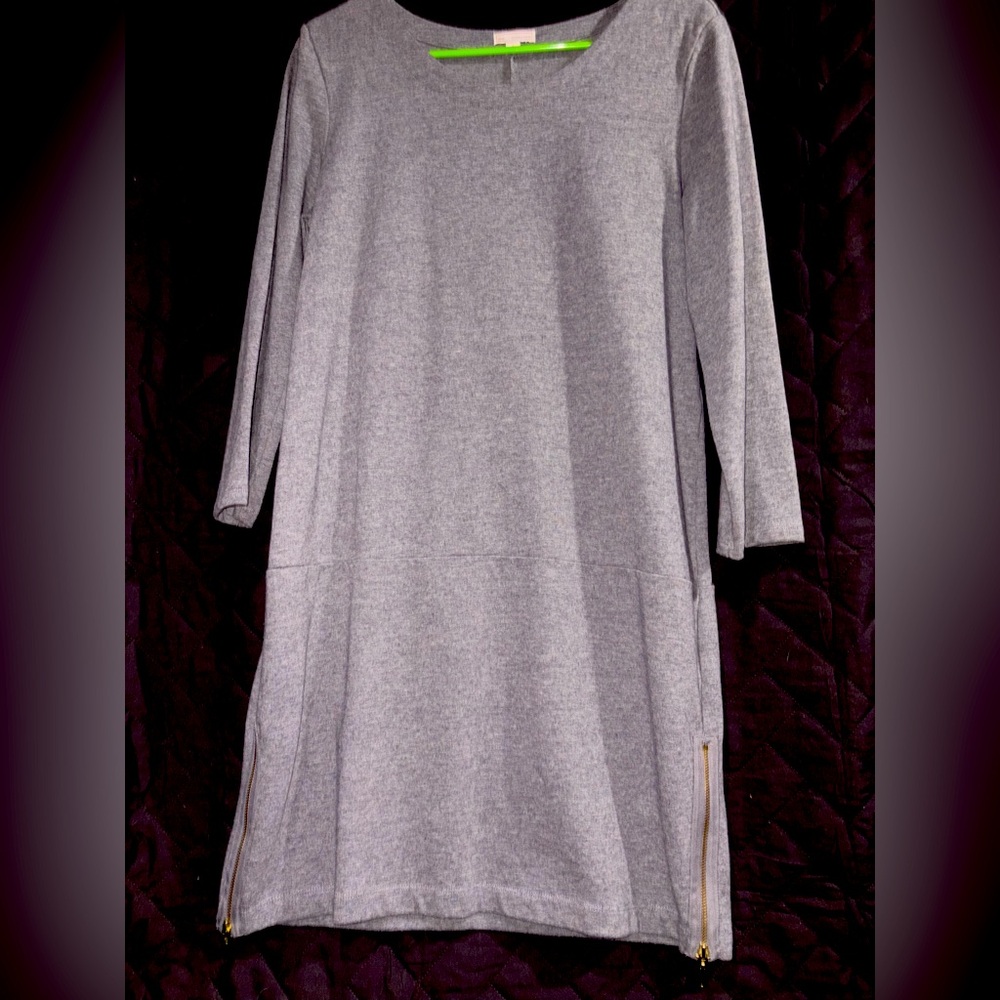 Gap Gray Long Sleeve Dress with Zipper Accents #1251